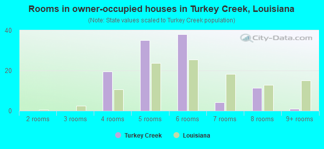 Rooms in owner-occupied houses in Turkey Creek, Louisiana