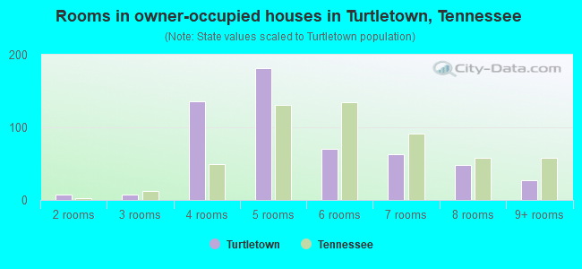 Rooms in owner-occupied houses in Turtletown, Tennessee