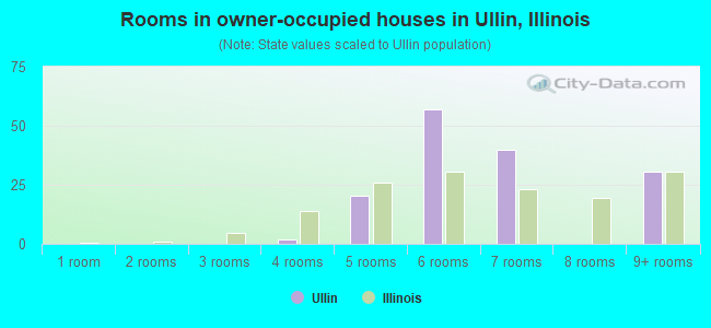 Rooms in owner-occupied houses in Ullin, Illinois