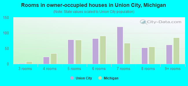 Rooms in owner-occupied houses in Union City, Michigan