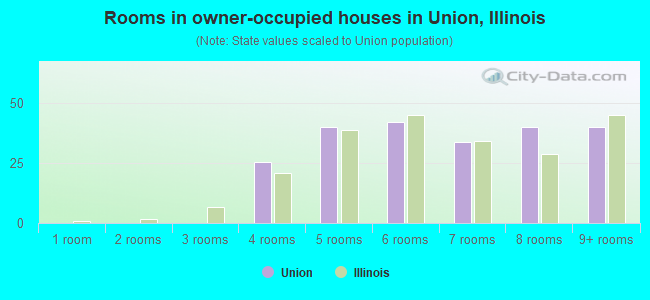 Rooms in owner-occupied houses in Union, Illinois