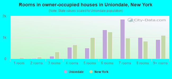 Rooms in owner-occupied houses in Uniondale, New York