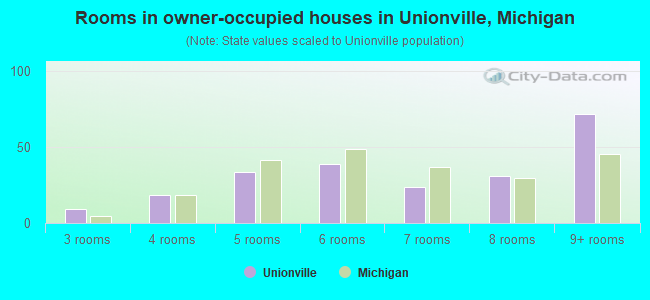 Rooms in owner-occupied houses in Unionville, Michigan