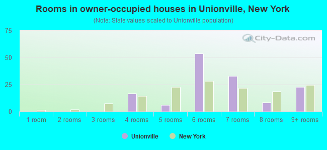 Rooms in owner-occupied houses in Unionville, New York