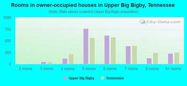 Rooms in owner-occupied houses in Upper Big Bigby, Tennessee