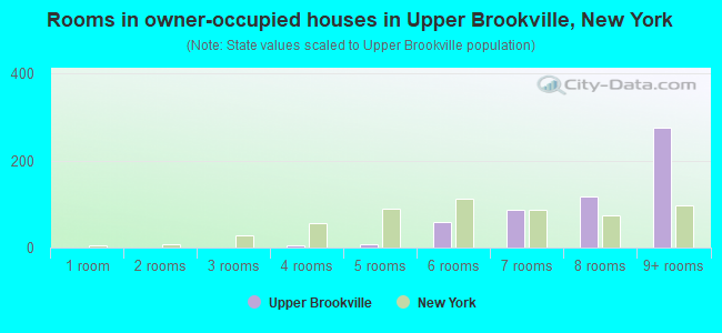 Rooms in owner-occupied houses in Upper Brookville, New York