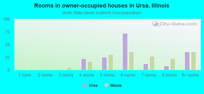 Rooms in owner-occupied houses in Ursa, Illinois