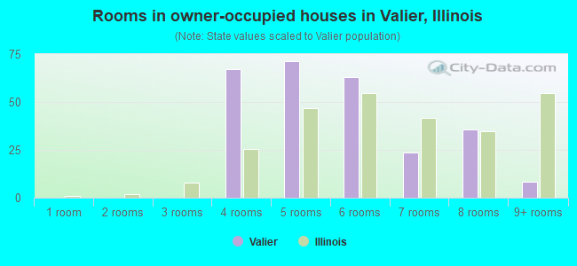 Rooms in owner-occupied houses in Valier, Illinois