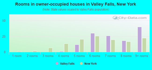 Rooms in owner-occupied houses in Valley Falls, New York