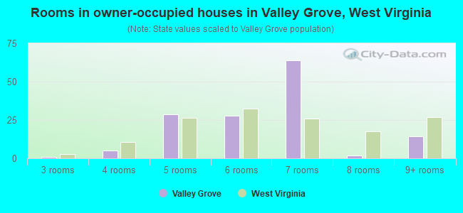 Rooms in owner-occupied houses in Valley Grove, West Virginia