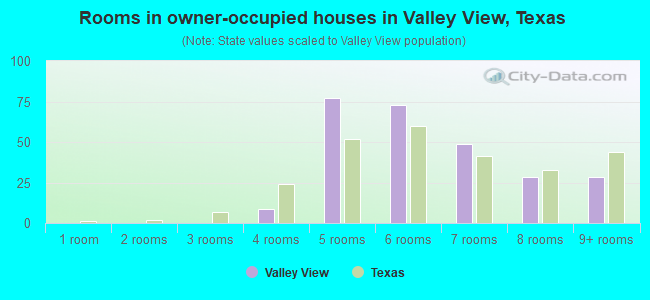 Rooms in owner-occupied houses in Valley View, Texas