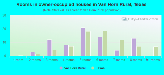 Rooms in owner-occupied houses in Van Horn Rural, Texas