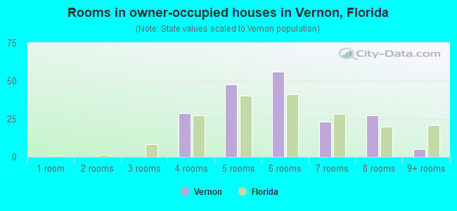 Rooms in owner-occupied houses in Vernon, Florida