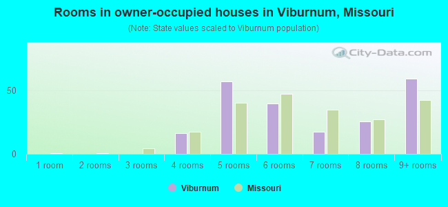 Rooms in owner-occupied houses in Viburnum, Missouri