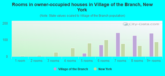 Rooms in owner-occupied houses in Village of the Branch, New York