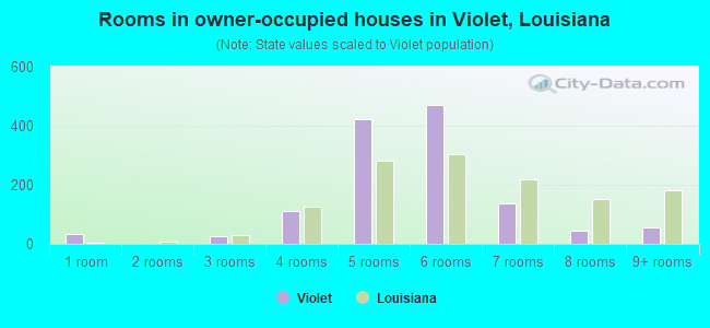 Rooms in owner-occupied houses in Violet, Louisiana