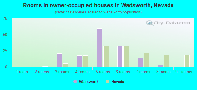 Rooms in owner-occupied houses in Wadsworth, Nevada