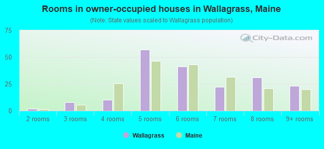 Rooms in owner-occupied houses in Wallagrass, Maine