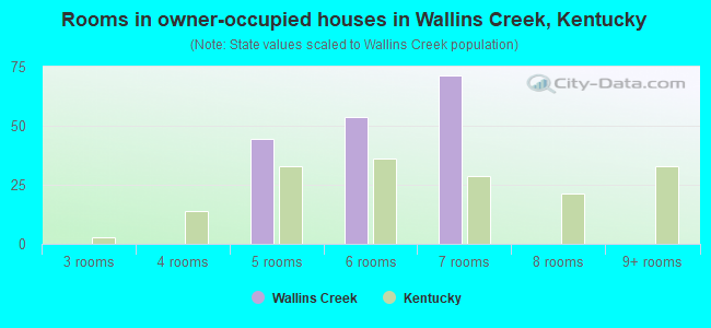 Rooms in owner-occupied houses in Wallins Creek, Kentucky