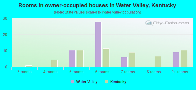 Rooms in owner-occupied houses in Water Valley, Kentucky