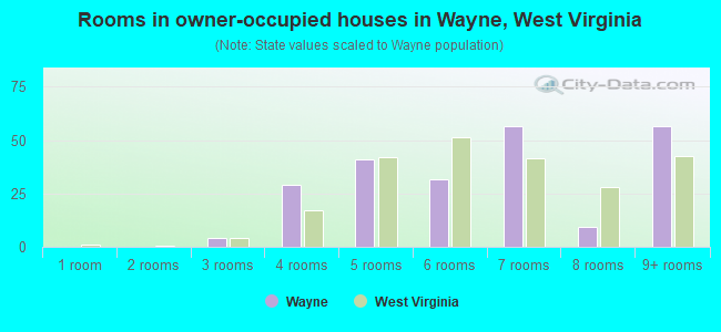 Rooms in owner-occupied houses in Wayne, West Virginia