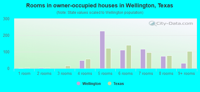 Rooms in owner-occupied houses in Wellington, Texas