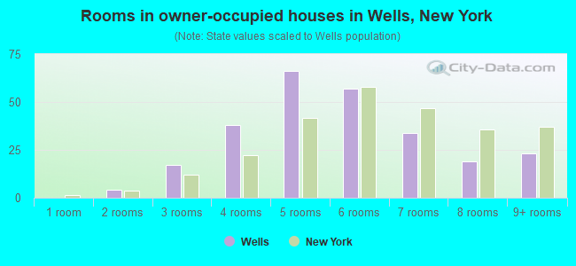 Rooms in owner-occupied houses in Wells, New York