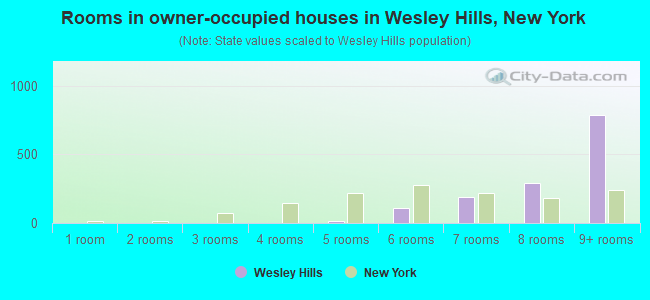 Rooms in owner-occupied houses in Wesley Hills, New York