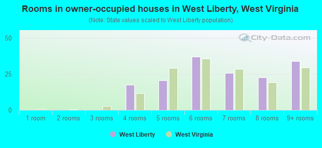 Rooms in owner-occupied houses in West Liberty, West Virginia