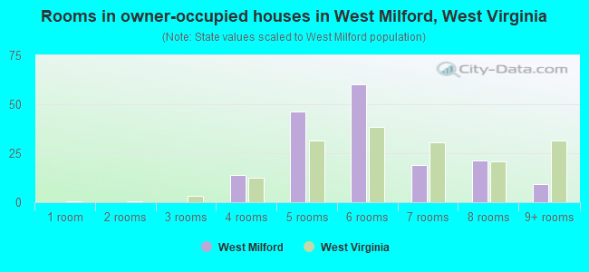 Rooms in owner-occupied houses in West Milford, West Virginia