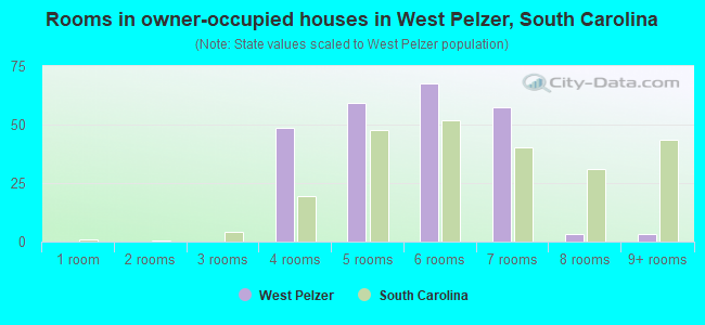 Rooms in owner-occupied houses in West Pelzer, South Carolina