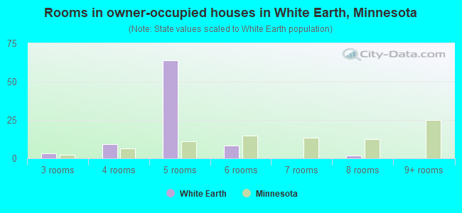 Rooms in owner-occupied houses in White Earth, Minnesota