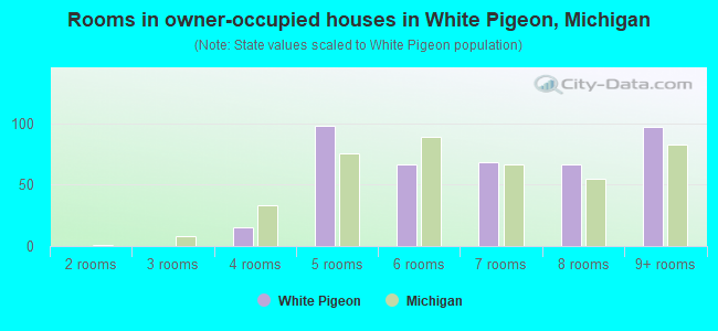 Rooms in owner-occupied houses in White Pigeon, Michigan