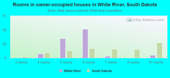 Rooms in owner-occupied houses in White River, South Dakota