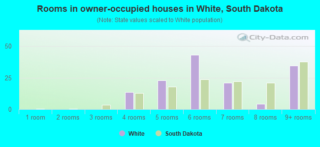 Rooms in owner-occupied houses in White, South Dakota