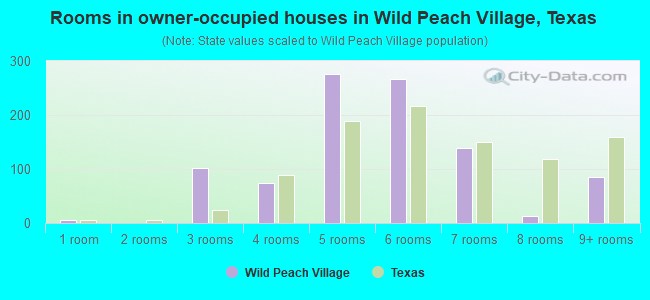 Rooms in owner-occupied houses in Wild Peach Village, Texas