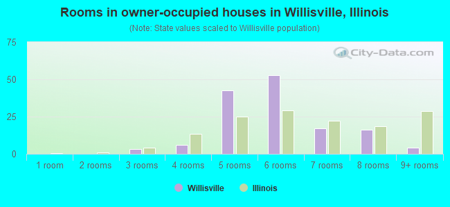 Rooms in owner-occupied houses in Willisville, Illinois