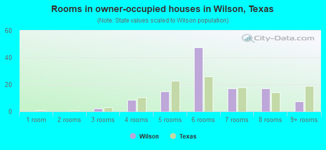 Rooms in owner-occupied houses in Wilson, Texas