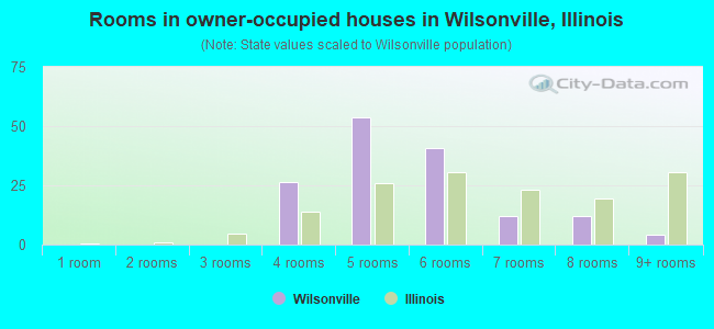 Rooms in owner-occupied houses in Wilsonville, Illinois