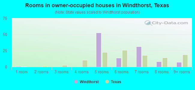 Rooms in owner-occupied houses in Windthorst, Texas