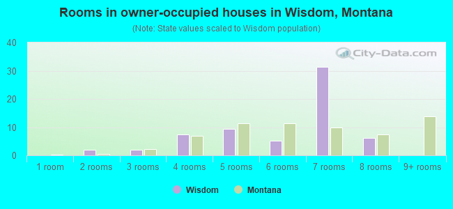 Rooms in owner-occupied houses in Wisdom, Montana