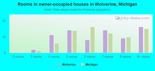 Rooms in owner-occupied houses in Wolverine, Michigan