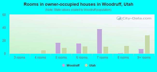 Rooms in owner-occupied houses in Woodruff, Utah