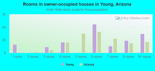 Rooms in owner-occupied houses in Young, Arizona