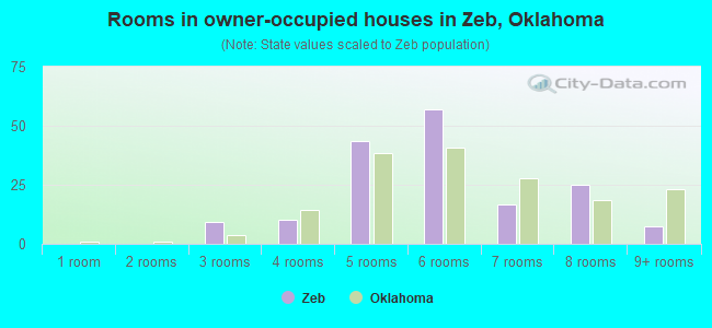 Rooms in owner-occupied houses in Zeb, Oklahoma