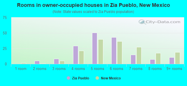 Rooms in owner-occupied houses in Zia Pueblo, New Mexico