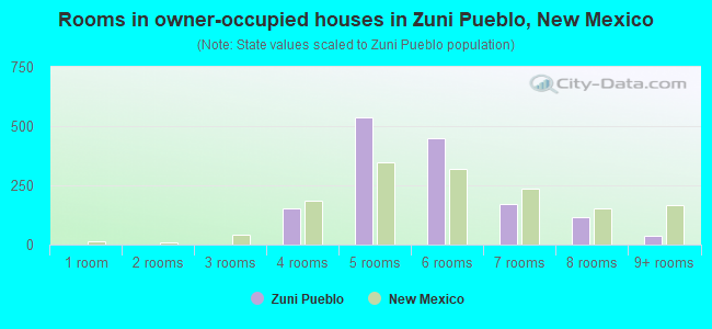 Rooms in owner-occupied houses in Zuni Pueblo, New Mexico