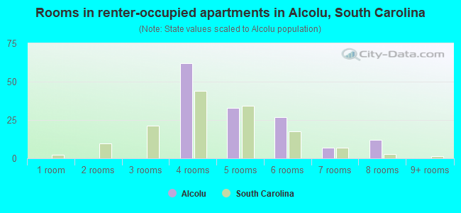 Rooms in renter-occupied apartments in Alcolu, South Carolina