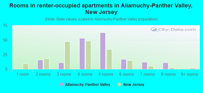 Rooms in renter-occupied apartments in Allamuchy-Panther Valley, New Jersey