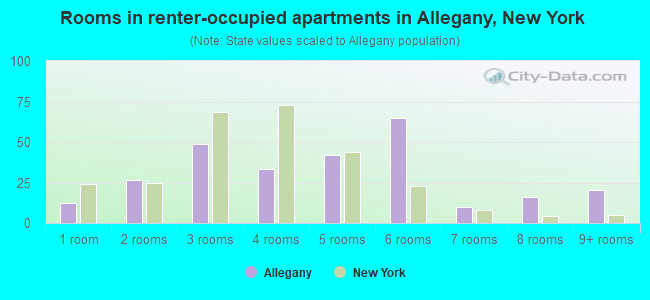 Rooms in renter-occupied apartments in Allegany, New York